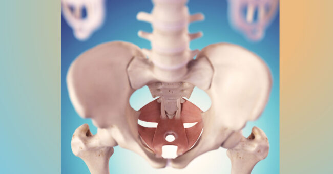What-is-an-Internal-Pelvic-Exam