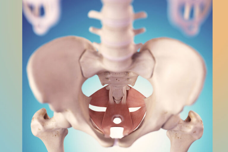 What-is-an-Internal-Pelvic-Exam